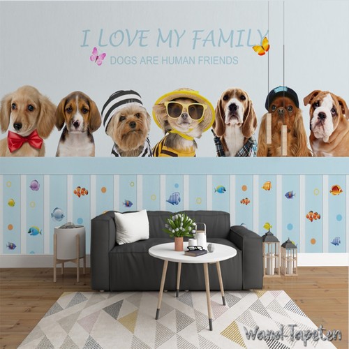 Collection papier peint - kn-collection,