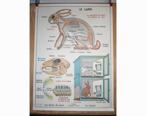 Ancienne affiche ecole - ancienne,