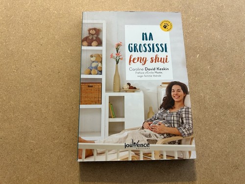Livre grossesse feng shui - grossesse,