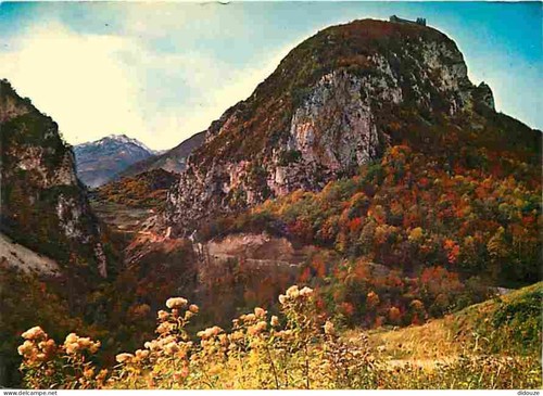 Carte postale - carte,