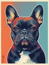 Photo A4 Bouledogue Français