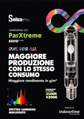Solux pro lampe - -, parxtreme