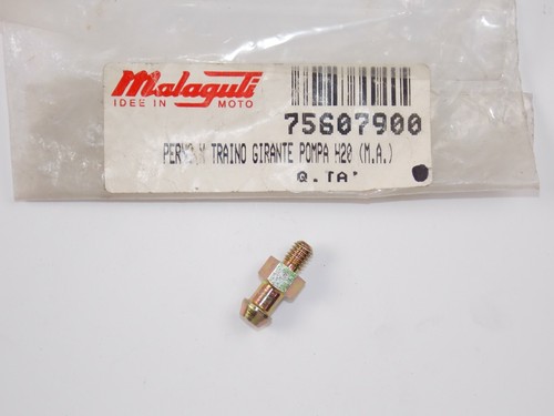 Oem malaguti 2012 - malaguti,