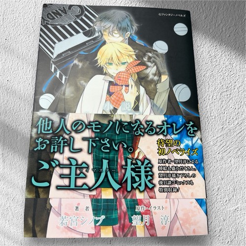 Pandora hearts novel japanese - pandora,