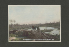 WWI, Shqipëria (Albania), Nëpër Kënetën Koloniale në Labirintin e Muzakisë vinta