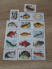 CHROMO ECOLE 16 BONS  POINT