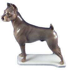 Nymphenburg Porcelaine Schnauzer Dog Figurine Porzellan Figur Hund Allemande