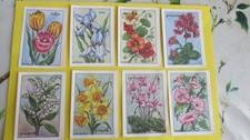 Les fleurs lot 8  images écolier  éditions éducatives série A (6,5cm/9,5 cm)