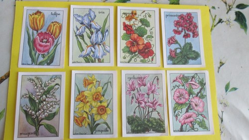 Les fleurs lot - , 8