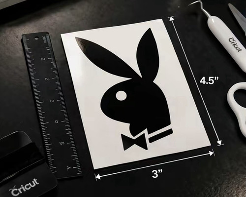 Playboy bunny vinyl - bunny, in