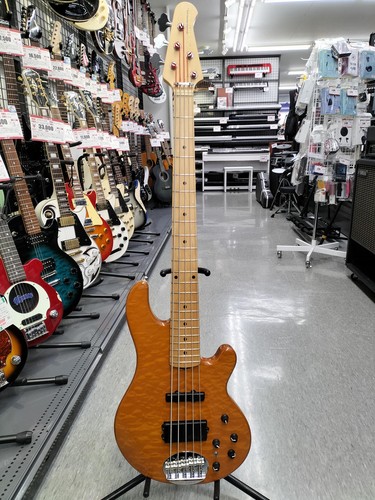 Guitare basse électrique