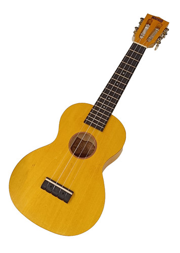 Mahalo ukulélé concert - , île
