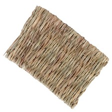  40 X28x1cm Tapis De Cochon