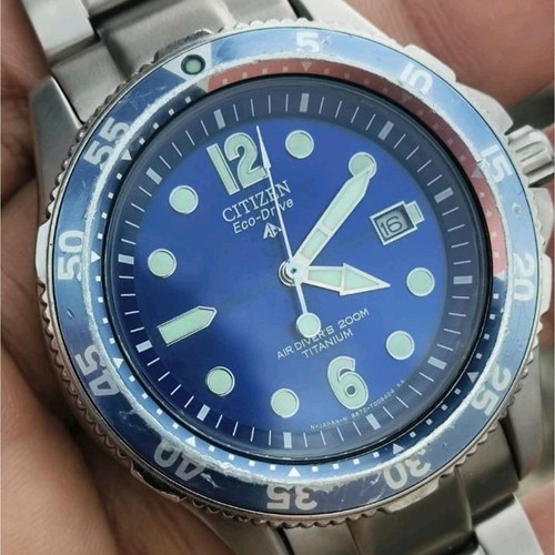 Rare citizen promaster - citizen,
