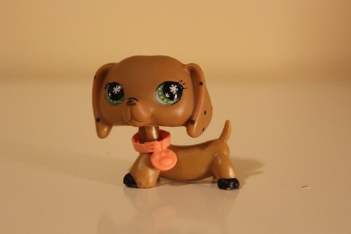 Hasbro littlest pet - hasbro, shop