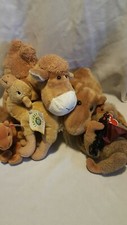 Lot of camel stuffed plush