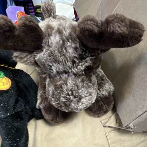 Peluche