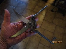 Ancien Sécateur à Volaille