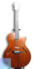 TAYLOR T5 Classic Electric