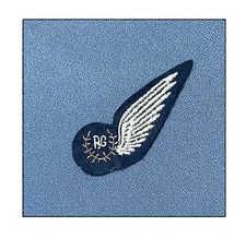 ww2 Brevet RAF Dday Normandie FAFL AAF Luftwaffe pilote Utah Omaha Metz Lorraine