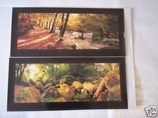 Huelgoat photo de forêt 2 posters Bretagne à encadrer 