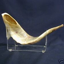 SHOFAR - Large Authentic 100%