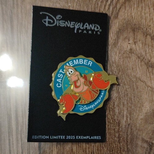 Disney disneyland paris - disneyland, pin