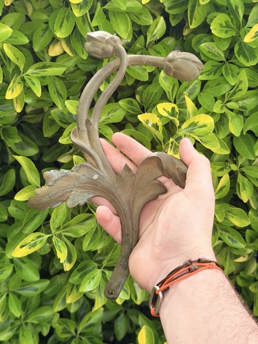 Bronze ornement art - bronze,