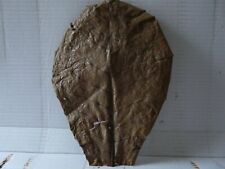 FEUILLES DE CATAPPA TRAITEMENT