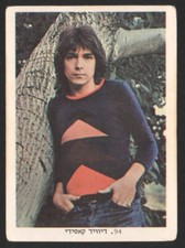 DAVID CASSIDY N°94 Israel CARD ALBUM POP Collectors 1970's