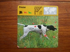 POINTER  chien  Carte collection 1975 fiche animal   lobby card 