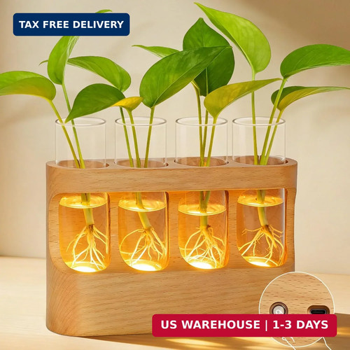 Rechargeable plant propagation - rechargeable,