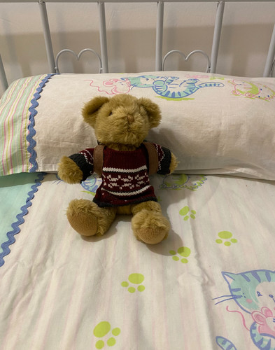 The teddy bear collection - the,