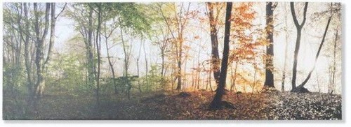 Tableau cadre toile arbre - cadre,
