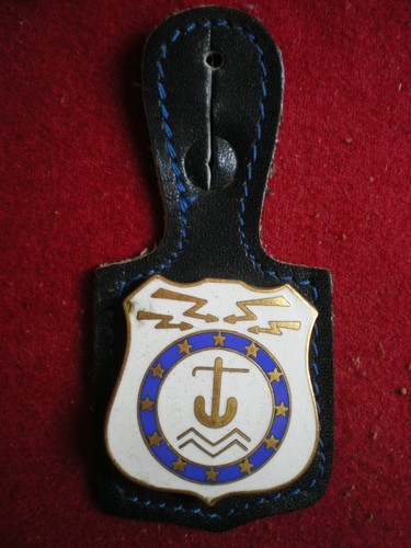 Insigne pompiers pucelle - insigne,