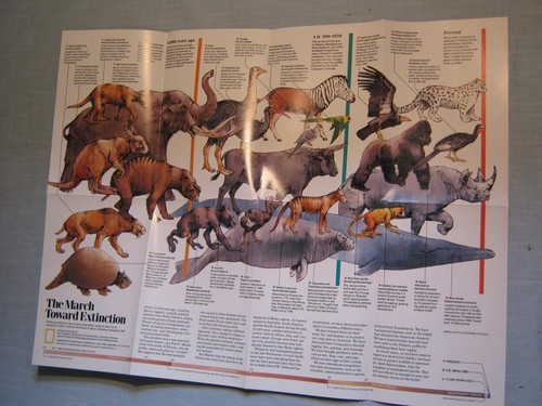 New view dinosaurs march - new, +