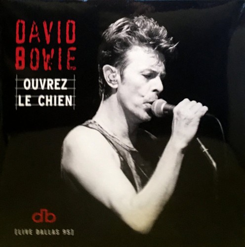 David bowie ouvrez - ouvrez, chien