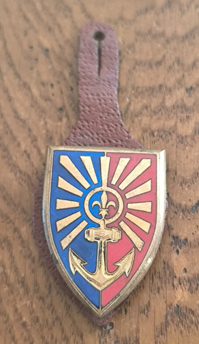 Insigne ra régiment - 8°,