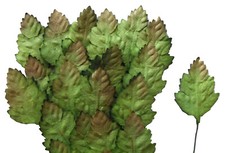 40 feuilles végétales papier