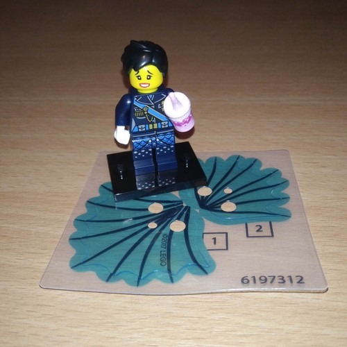 Lego minifig ninjago the - lego,