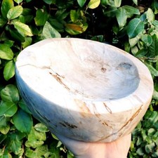 Bois fossilisé/silicifié -