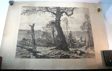 Jeanne Simonnet Superbe Grande