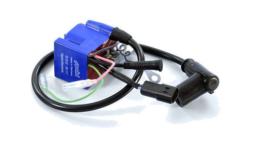 Polini bobine stator - polini, de
