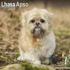 Calendrier 2025 -  LHASSA APSO