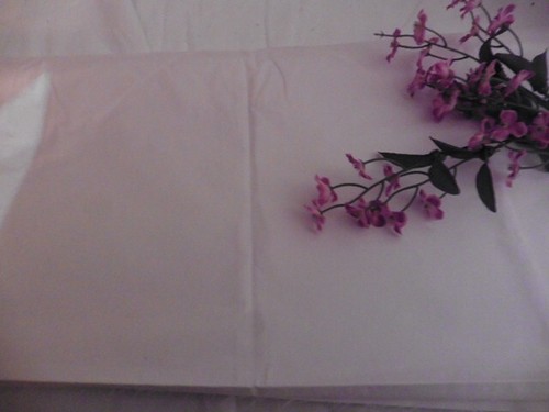 Ancienne toile ecru - ancienne,