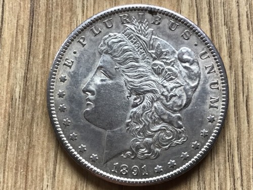 Dollar morgan 1891 - dollar,