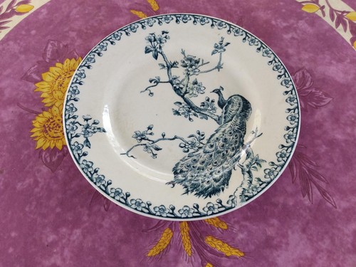 Assiette plate ancienne terre - ancienne,