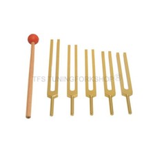 Professionnel 5Pc Or Finition Sharps Diapason Set Son Guérison Maillet &