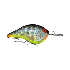 Rapala Giant DT Lure