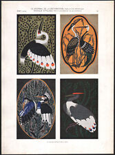 1910 Lithographie Oiseaux